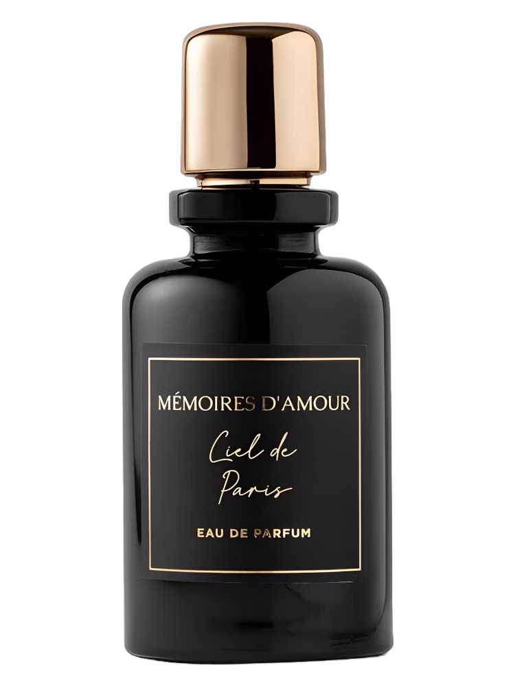 Mémoires D'amour Ciel de Paris