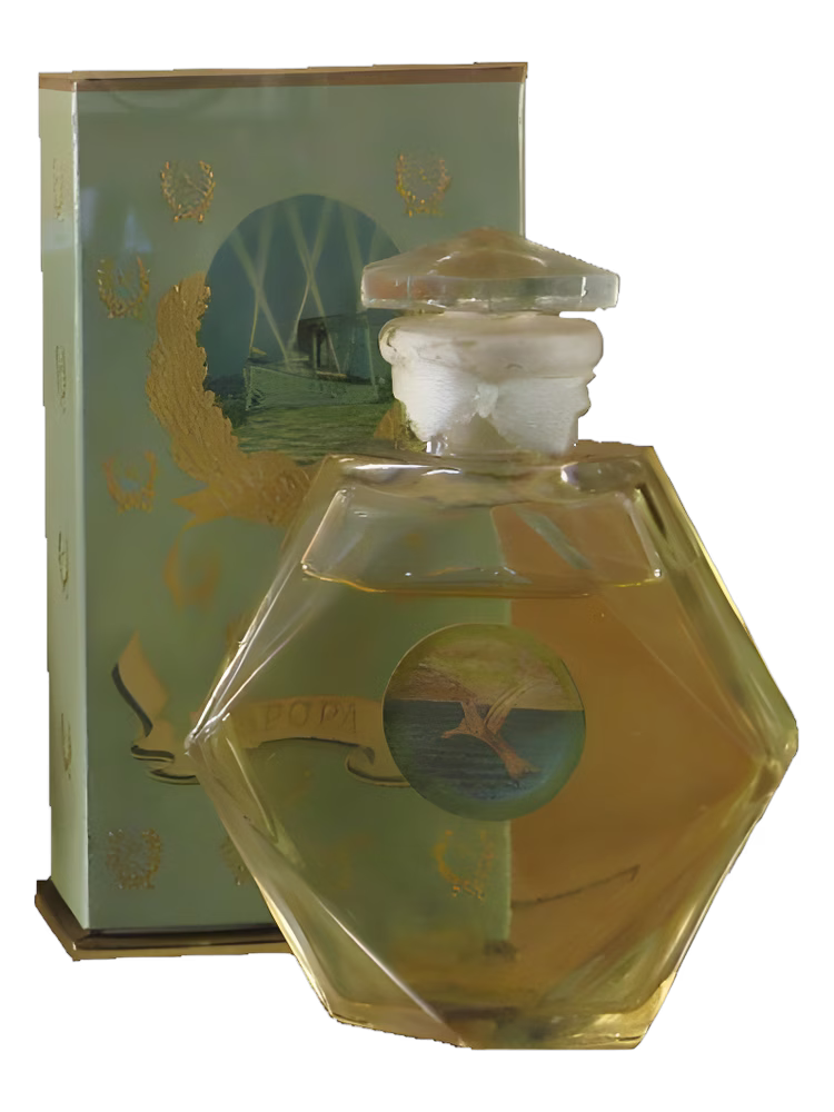 Сувенир (Краснодар) Аврора (1947)