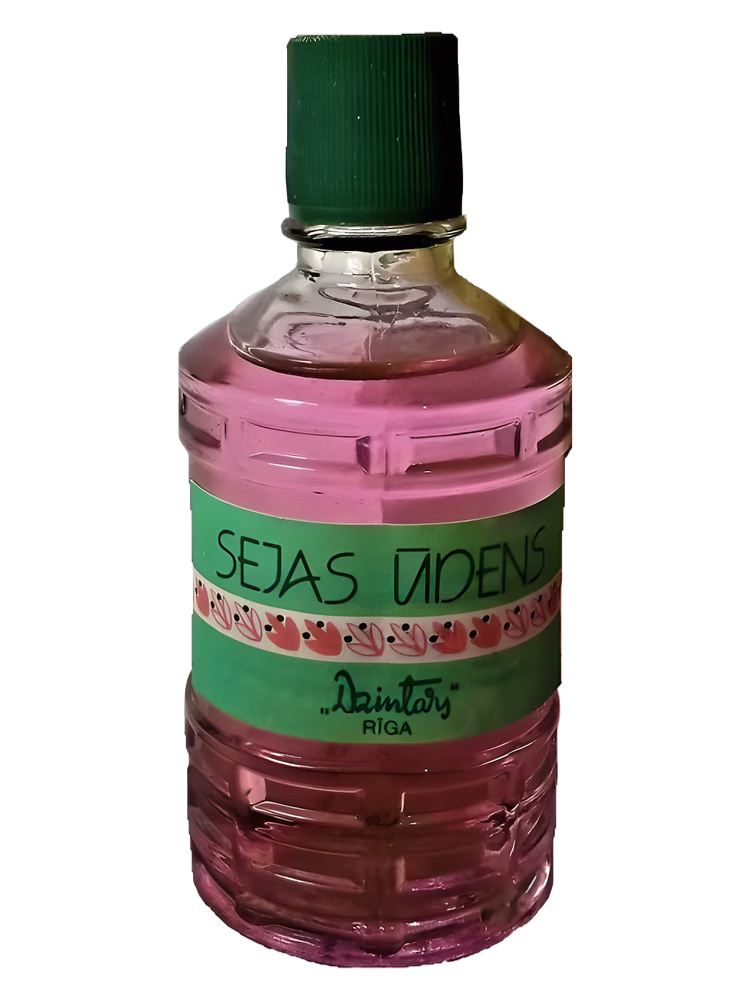 Dzintars Sejas ūdens