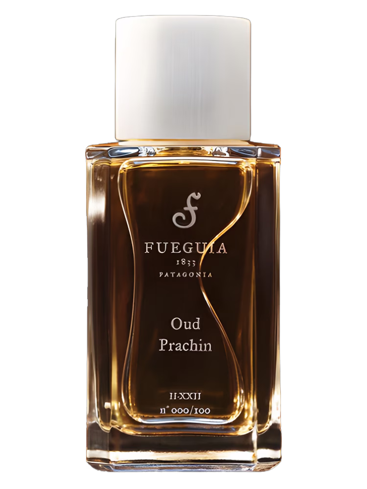 Fueguia 1833 Oud Prachin
