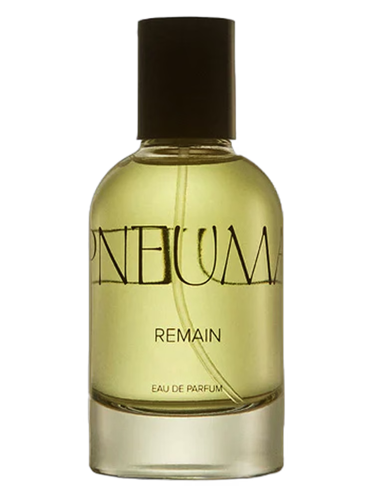 Studio Pneuma Remain
