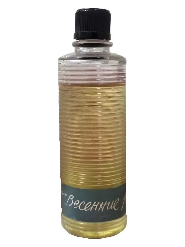 Dzintars Pavasara strauti (Весенние ручьи)