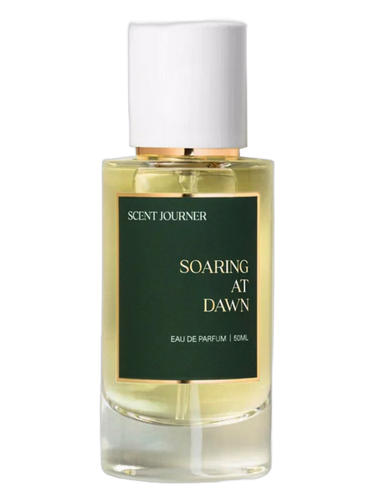 Scent Journer Soaring At Dawn
