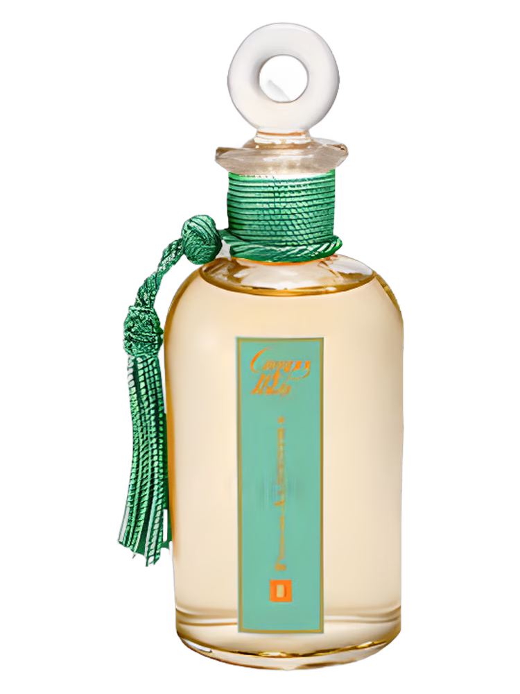 Campos de Ibiza Flor de Almendra