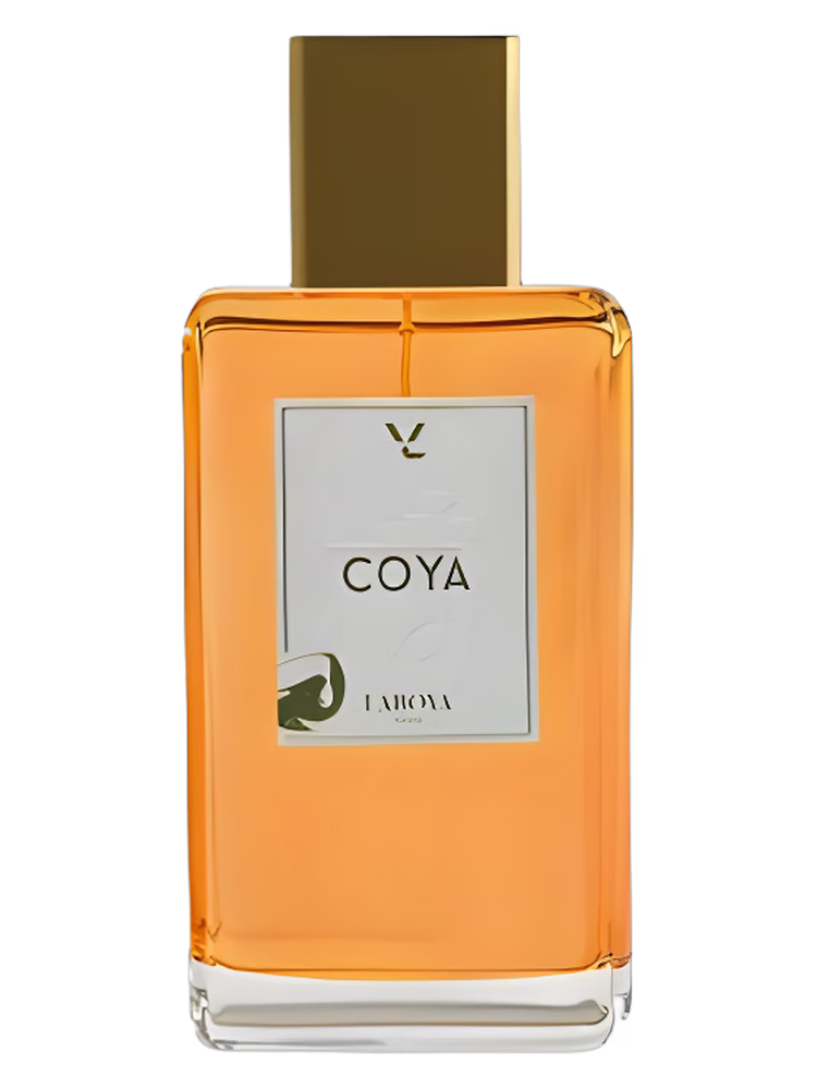 Laboya Paris Coya