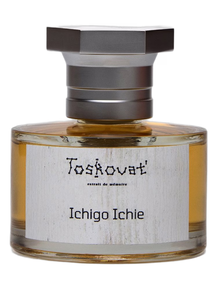 Toskovat' Ichigo Ichie