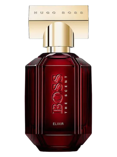 Boss Elixir, inspired by Boss The Scent Elixir