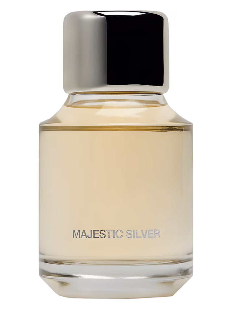 Zara Majestic Silver