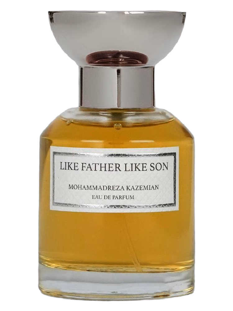 Mohammadreza Kazemian Like Father Like Son