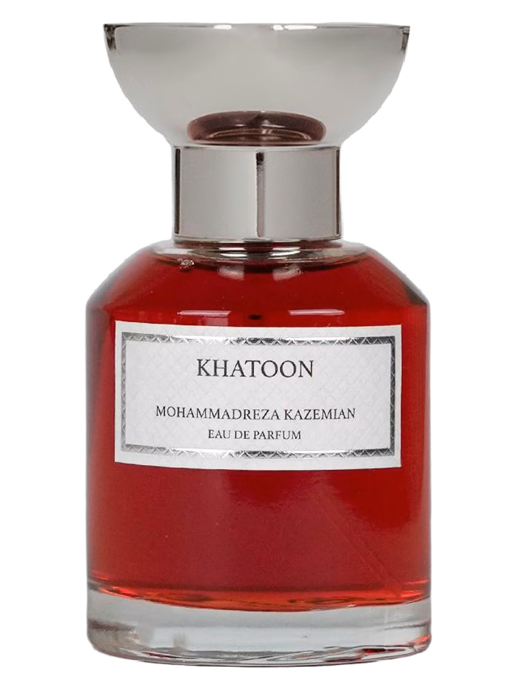 Mohammadreza Kazemian Khatoon