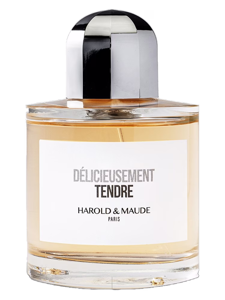 Harold & Maude Délicieusement Tendre