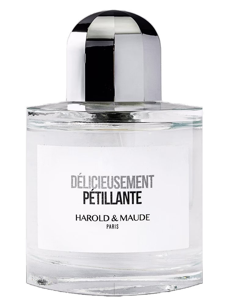Harold & Maude Délicieusement Pétillante