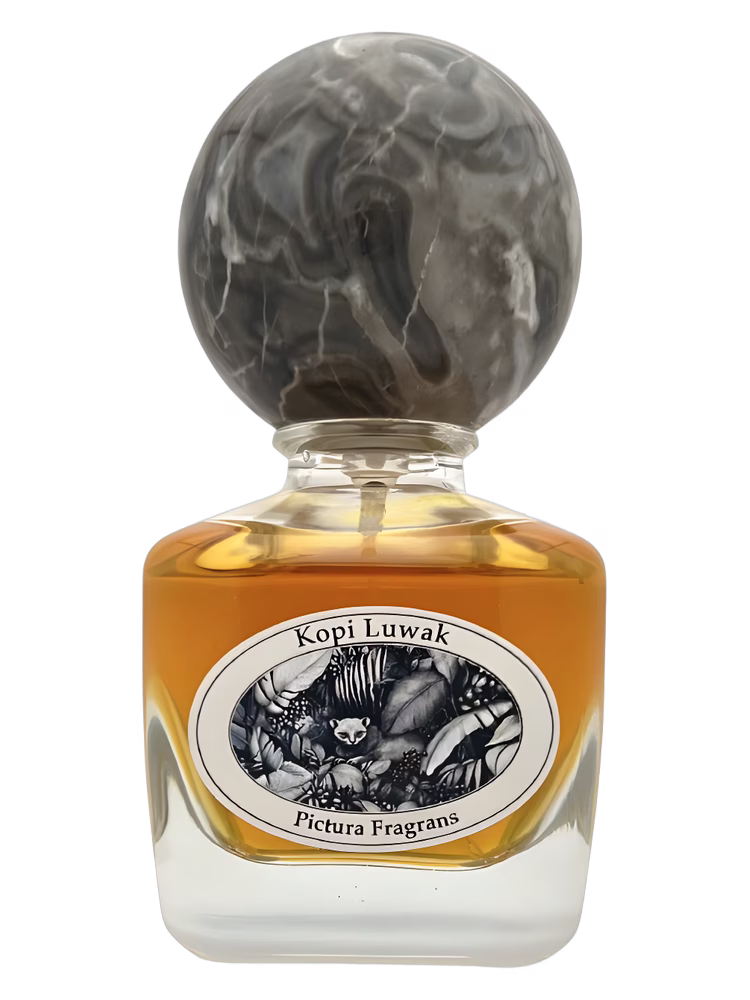 Pictura Fragrans Kopi Luwak