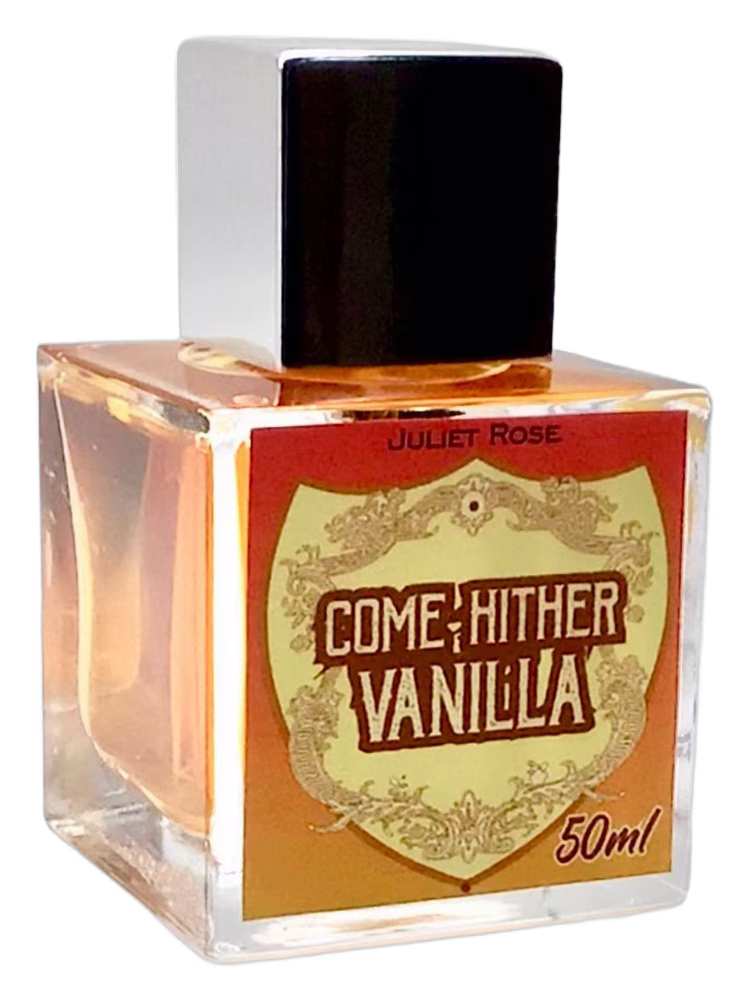 Juliet Rose Come Hither Vanilla