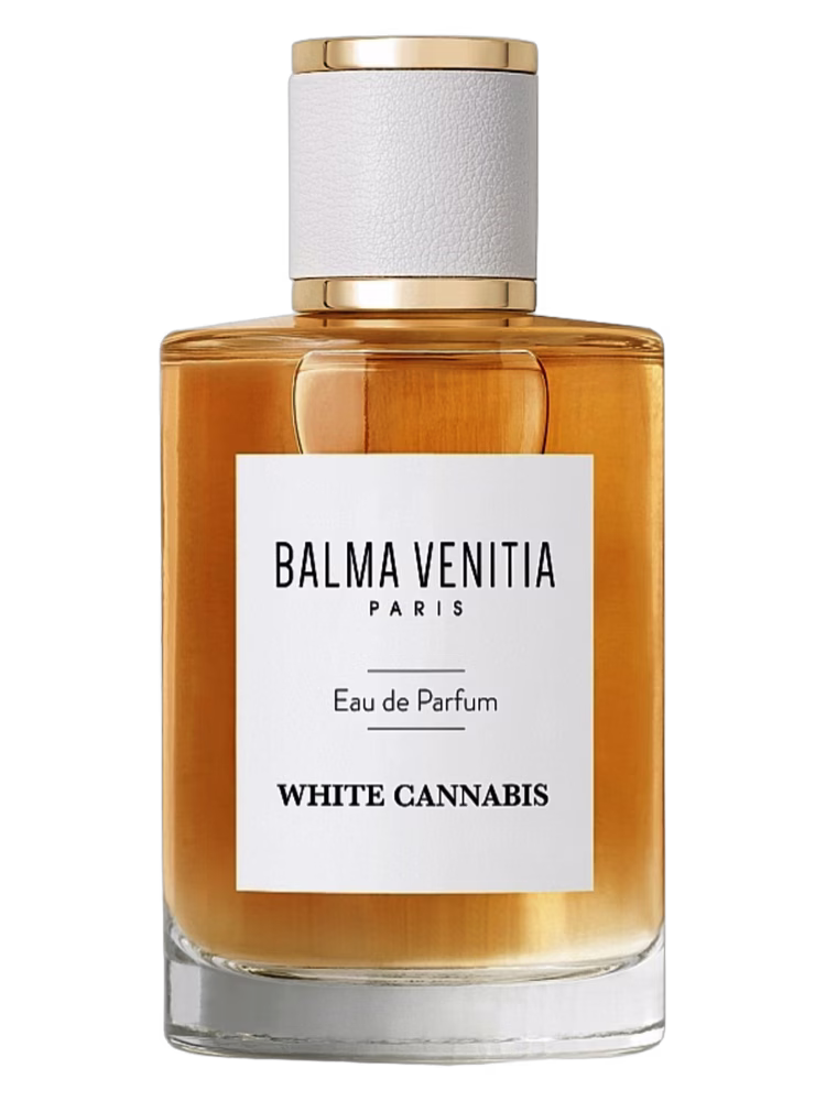 Balma Venitia White Cannabis