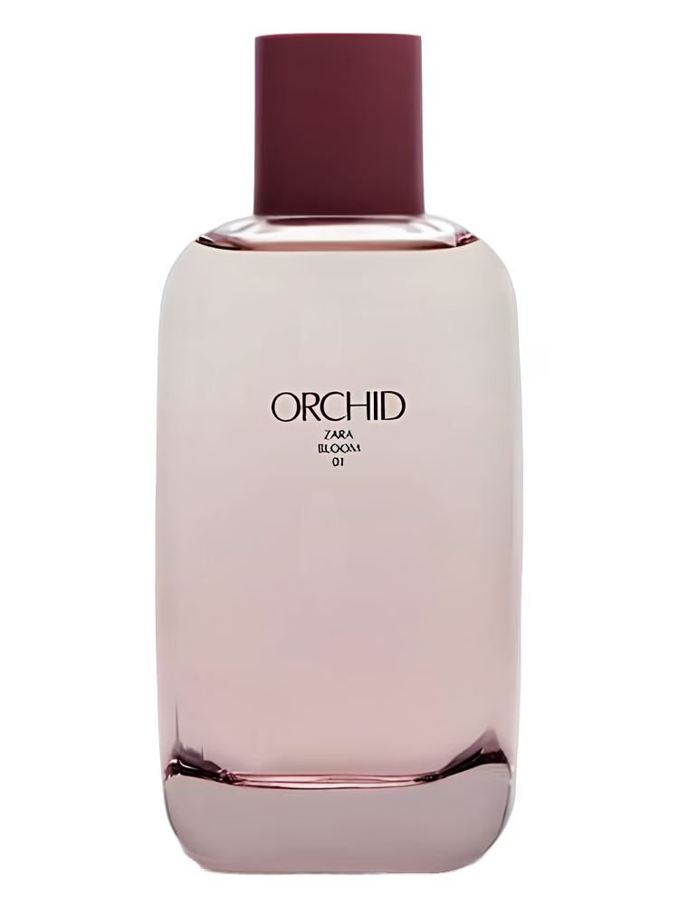 Zara Orchid Bloom 01