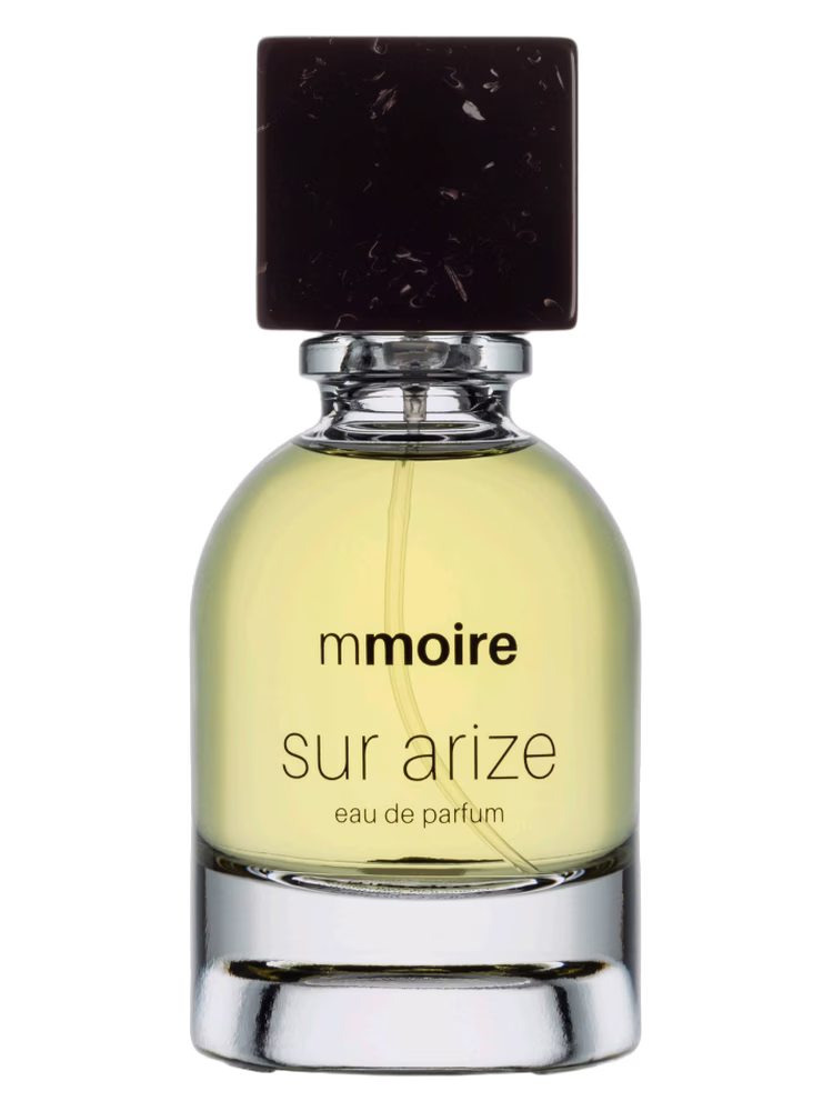 Mmoire Sur Arize