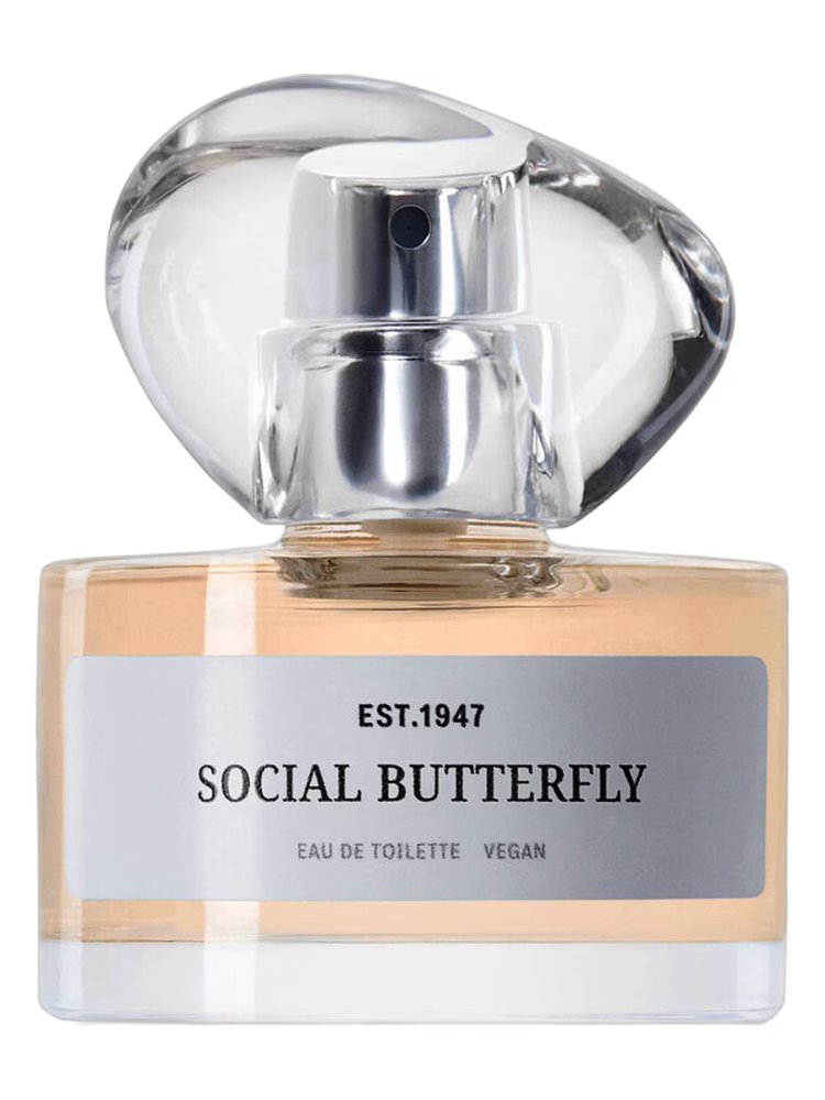 H&M Social Butterfly