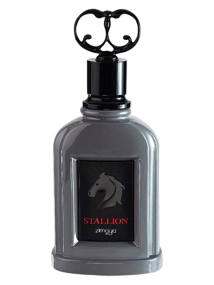 Zimaya Stallion