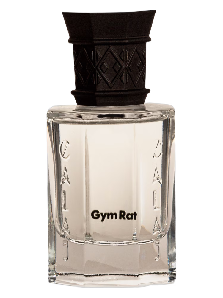 Calaj Gym Rat