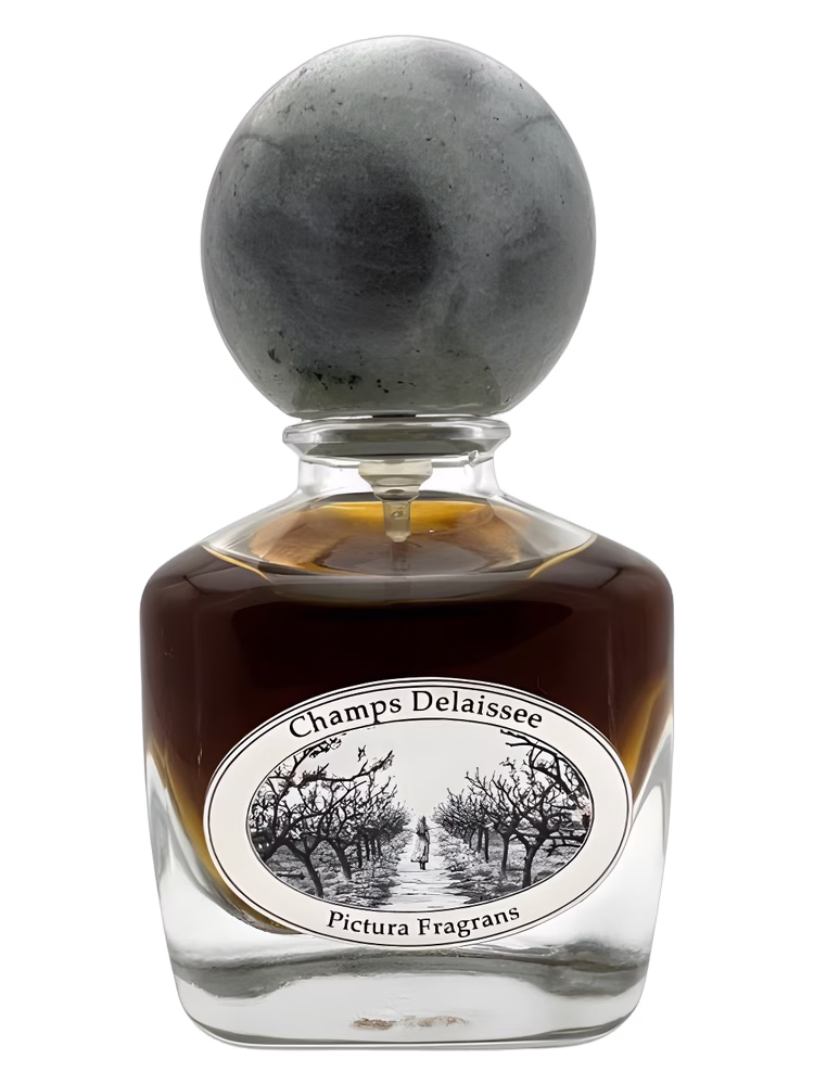 Pictura Fragrans Champs Délaissée