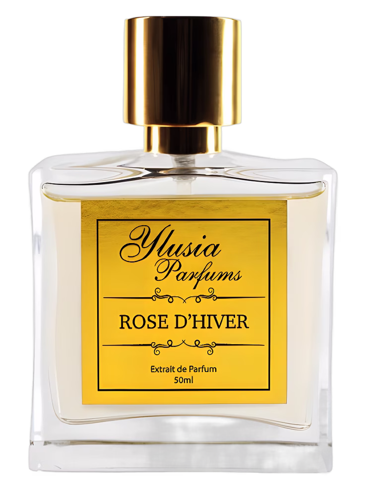 Ylusia Parfums Rose d'Hiver
