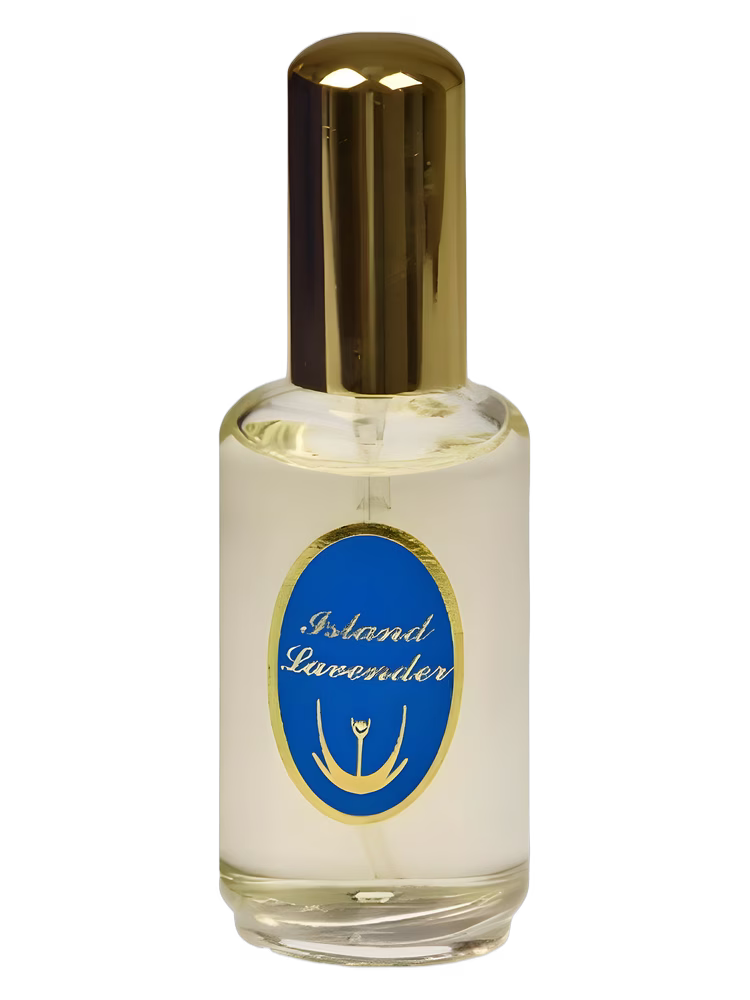 Caldey Island Lavender