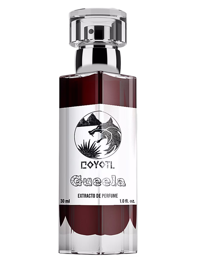 Coyotl Gueela