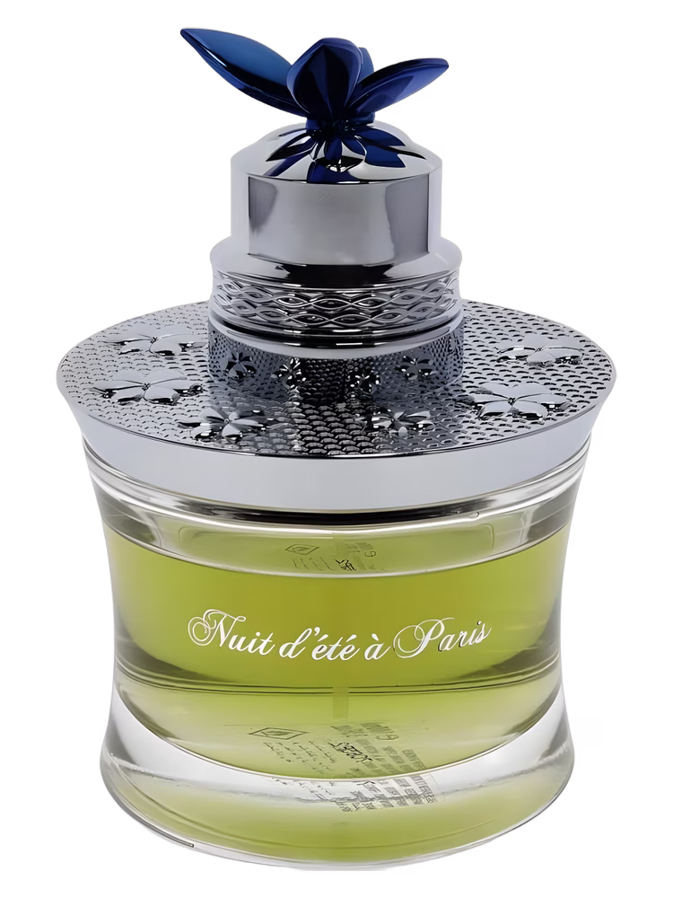 Rémy Latour Nuit d-Été à Paris