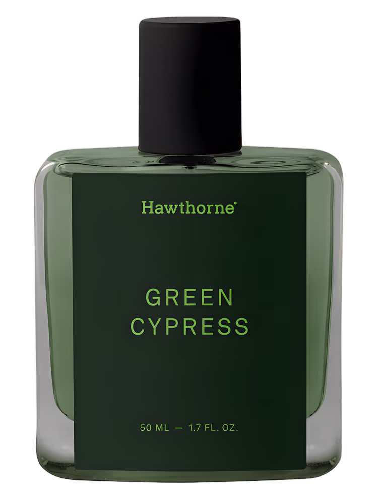 Hawthorne Green Cypress