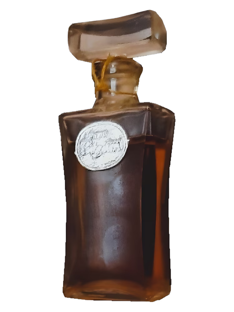 Сувенир (Краснодар) Визит