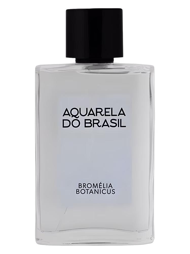 Aquarela do Brasil Bromélia Botanicus
