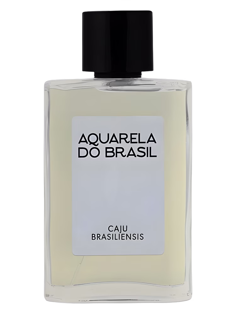 Aquarela do Brasil Caju Brasiliensis