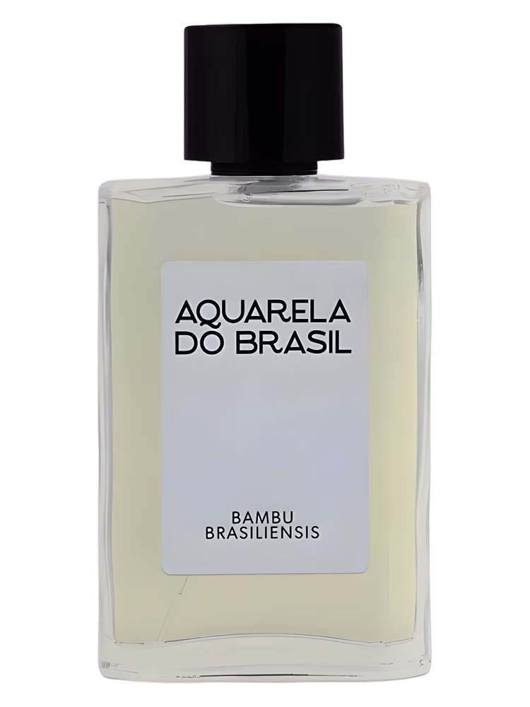 Aquarela do Brasil Bambu Brasiliensis