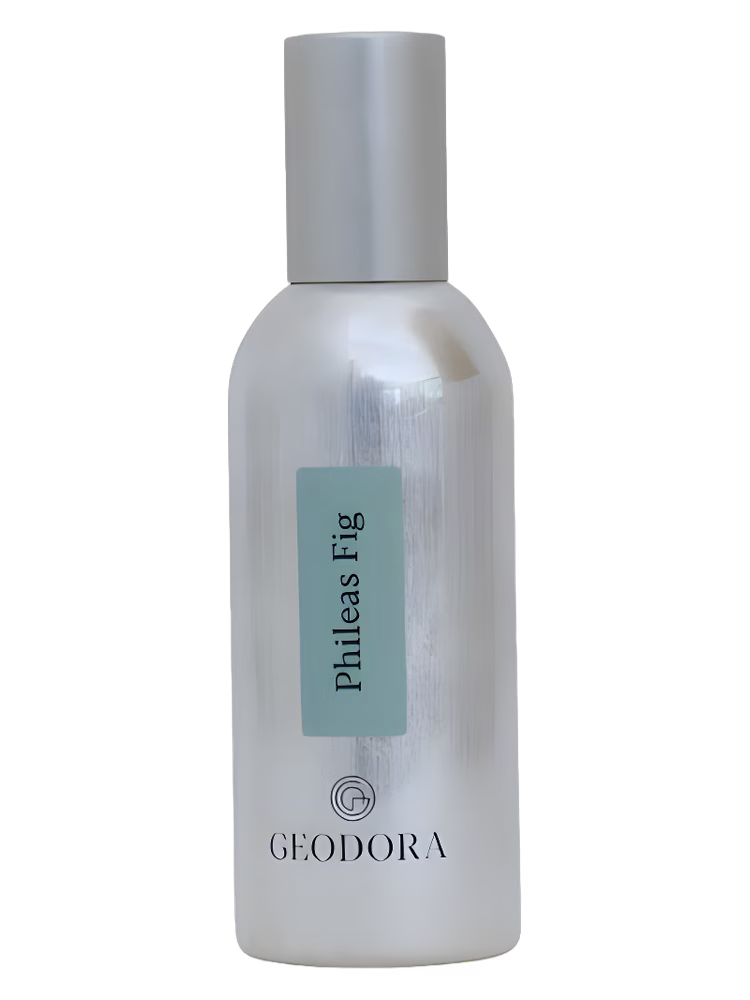 Geodora Phileas Fig