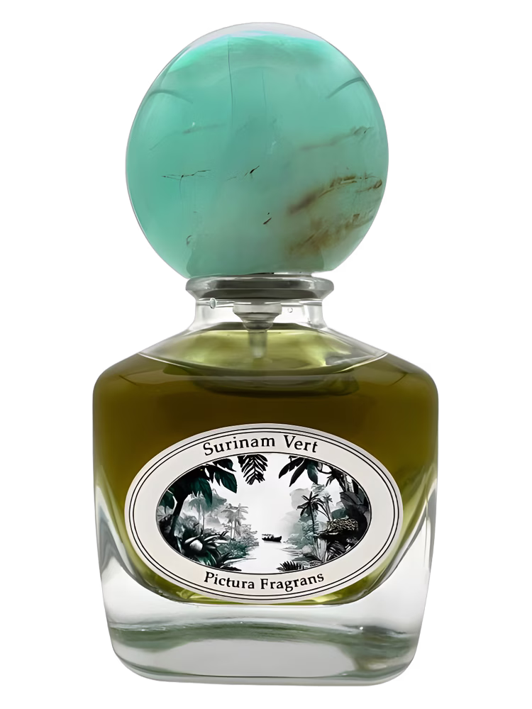 Pictura Fragrans Surinam Vert