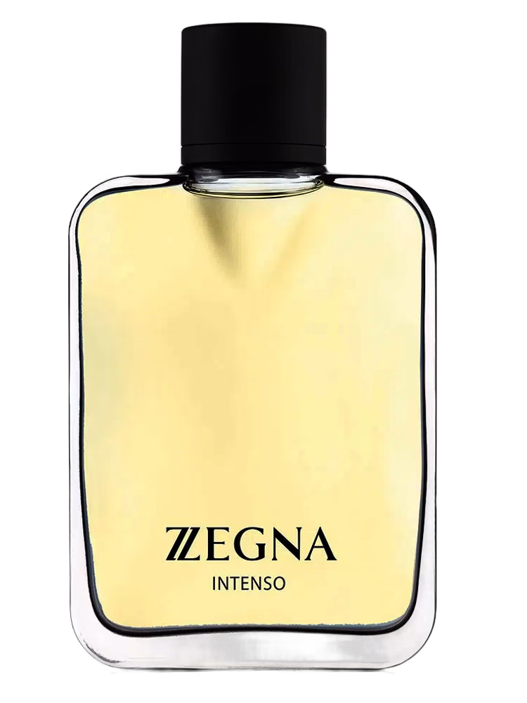 Ermenegildo Zegna Zegna Intenso