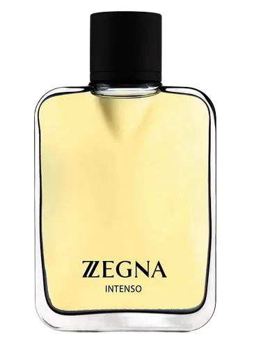 Ermenegildo Zegna Intenso EDT 100ml 香水 Zegna Intenso Ermenegildo Zegna cologne - a fragrance for men 2007