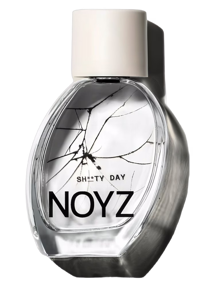 Noyz Sh**ty Day