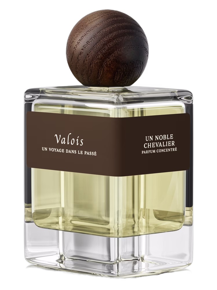 Valois Un Noble Chevalier