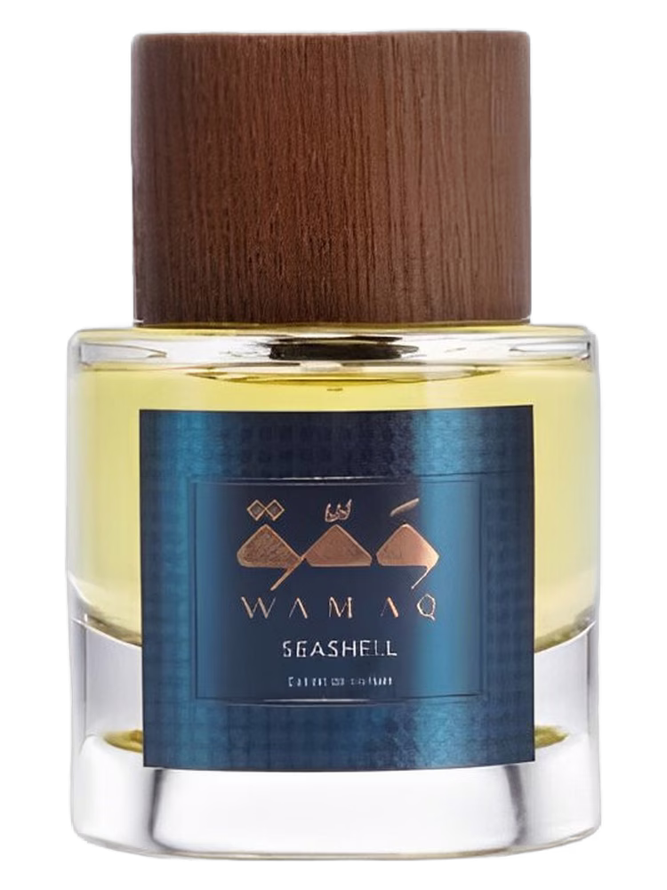 WAMAQ Seashell