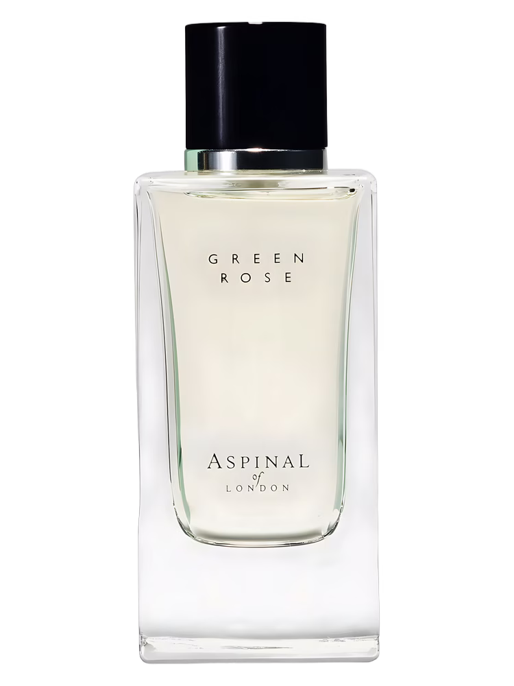 Aspinal of London Green Rose