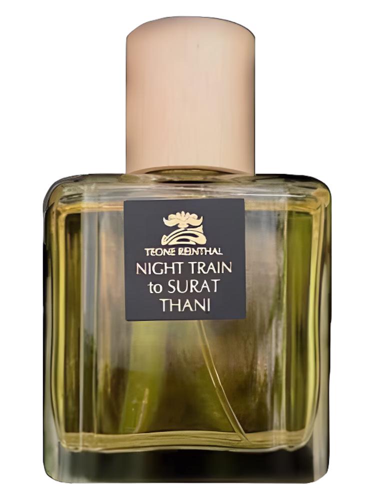 Teone Reinthal Night Train to Surat Thani