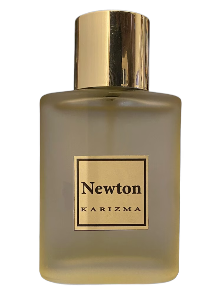 Ahmed Mahsoub KARIZMA NEWTON