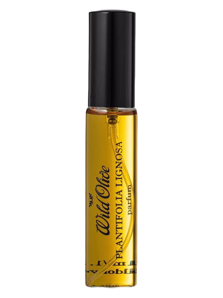 Wild Olive Artisans Plantifolia Lignosa
