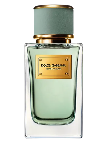 Velvet Infusion Dolce&Gabbana 香水- 一款2024年新的中性香水