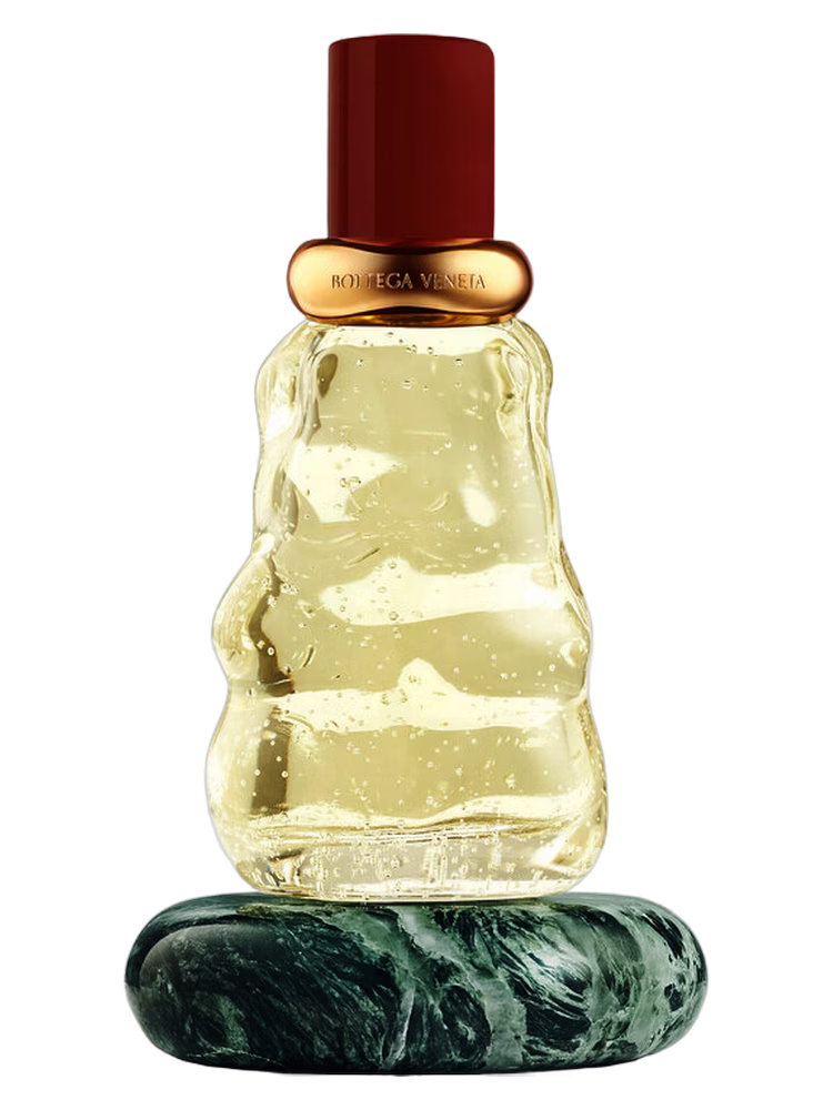 Bottega Veneta Come with Me