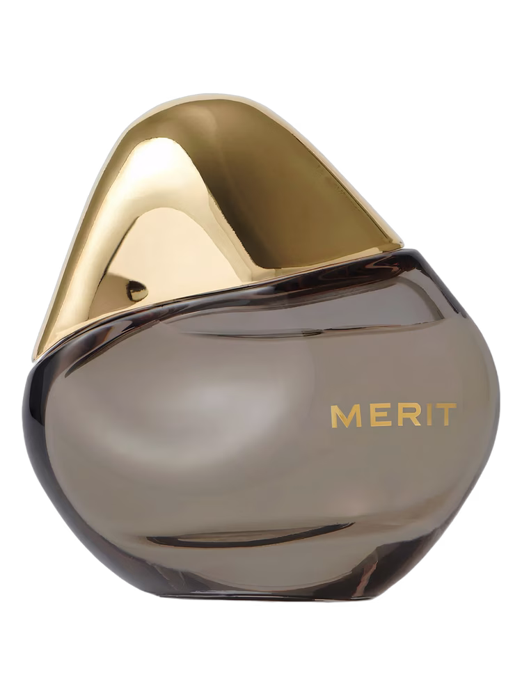 Merit Retrospect