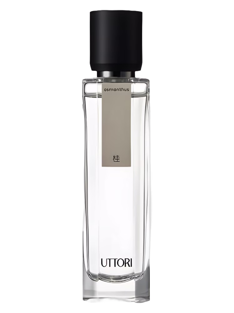 Uttori 五朵里 Osmanthus 桂