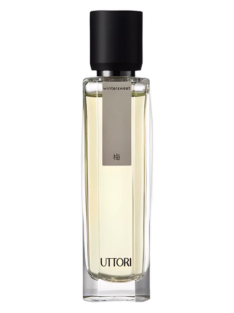 Uttori 五朵里 Wintersweet 梅